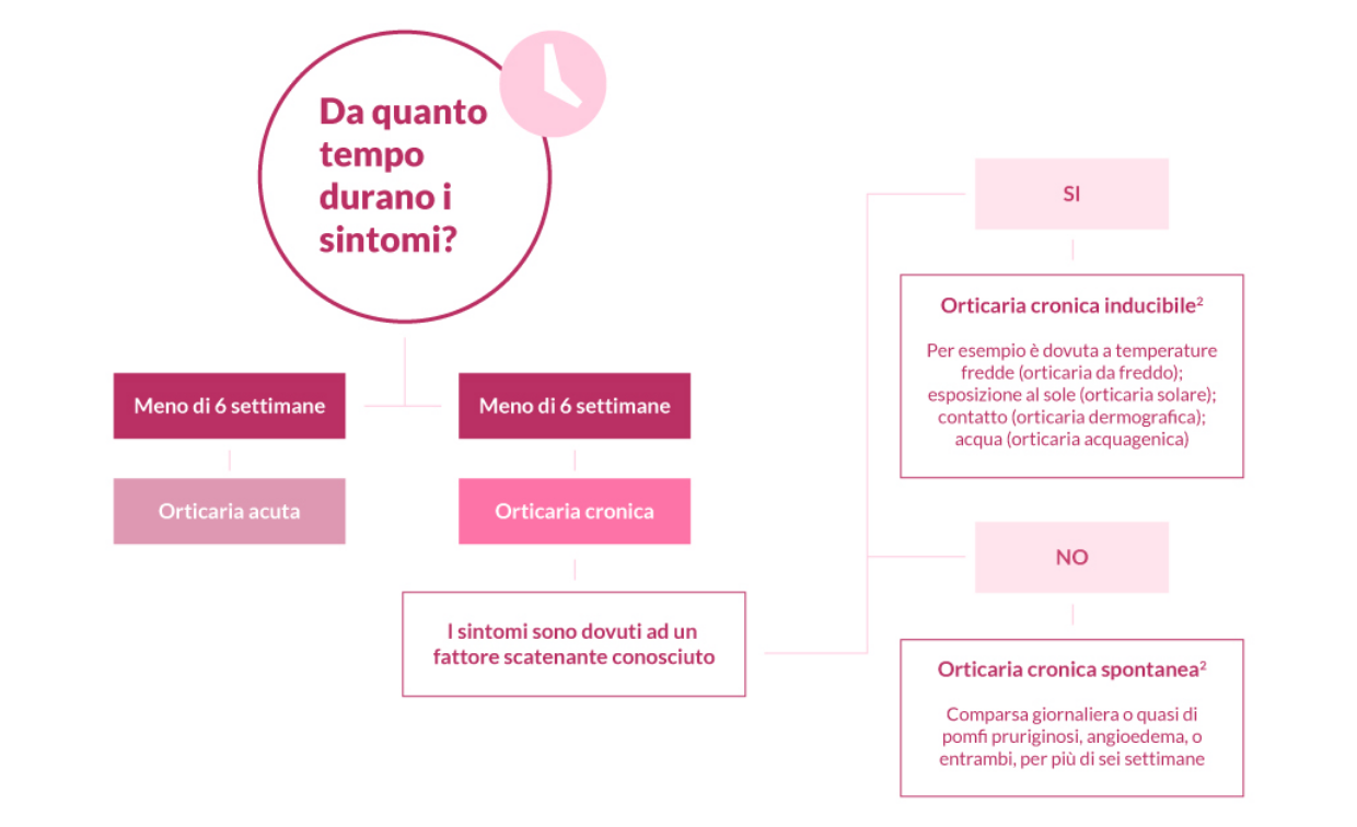 Infografica sui sintomi e tipi dell'orticaria