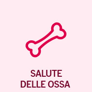 Salute delle ossa